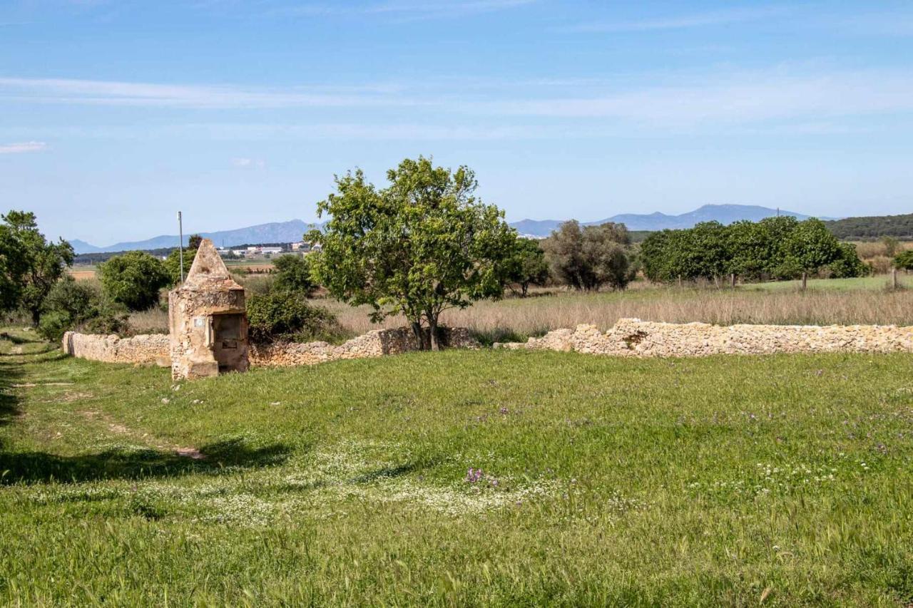 Ocells De Montgri Apartamento Rural En El Emporda Sobrestany Eksteriør bilde